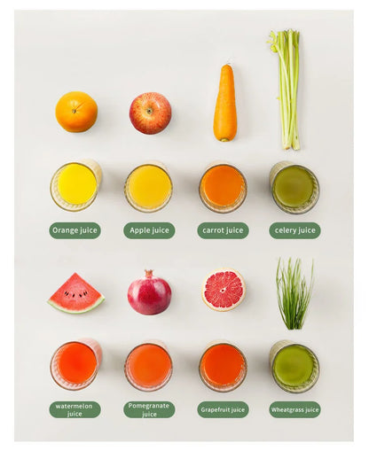 SipFresh Mini Slow Juicer